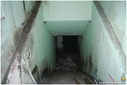 DSC 0051