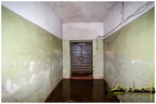  MG 1388 copy