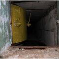 IMG 7902