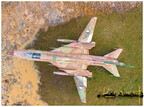 DJI 0183 copy
