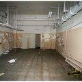IMG 5402