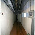 IMG 5406