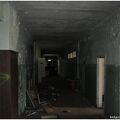 IMG 1003