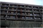 IMG 4685