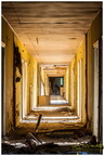  MG 0304 copy