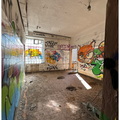 IMG 2026