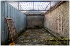  MG 2911 copy