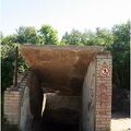 IMG 5461