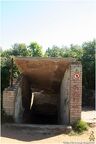 IMG 5461
