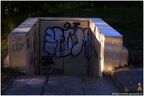 IMG 6431