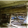  MG 8866 copy