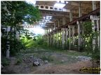 IMG 4926