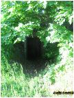 IMG 4929