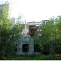 IMG 4931