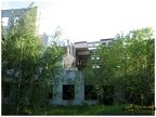 IMG 4931