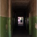 IMG 6343