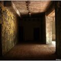 IMG 6383
