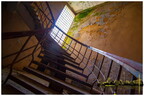  MG 3979 copy