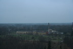 IMG 711011