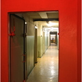 IMG 3794