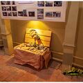 IMG 3267