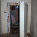 DSC 0130