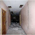 IMG 5377