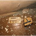 IMG 5417