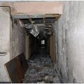 IMG 5448