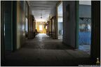 DSC 0008