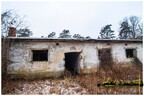  MG 1810 copy