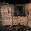 IMG 0471