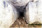  MG 6484 copy