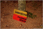 IMG 5601