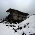 IMG 0265
