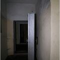 IMG 3011