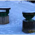 IMG 4090