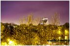  MG 2909 copy