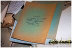  MG 3110 copy
