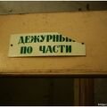 IMG 9038