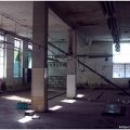 IMG 9517
