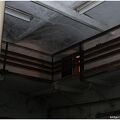 IMG 9532