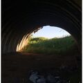 IMG 3748