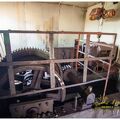  MG 3683
