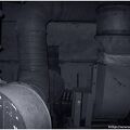 IMG 1526