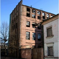 IMG 3507