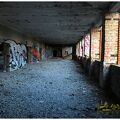 IMG 5372