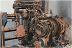 IMG 3494