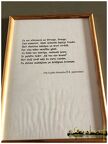 IMG 6652