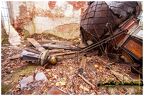  MG 4230